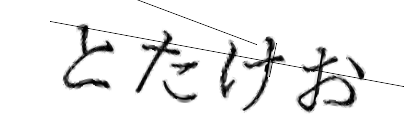 CAPTCHA画像