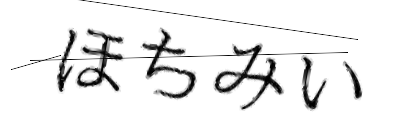 CAPTCHA画像