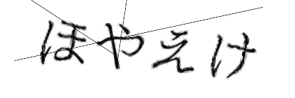 CAPTCHA画像
