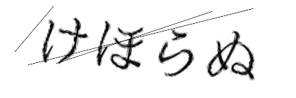 CAPTCHA画像
