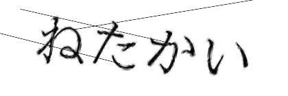 CAPTCHA画像