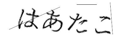 CAPTCHA画像