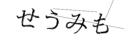 CAPTCHA画像