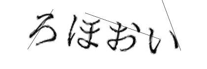 CAPTCHA画像