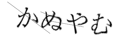 CAPTCHA画像