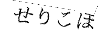CAPTCHA画像