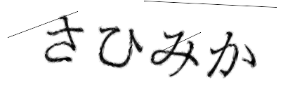 CAPTCHA画像