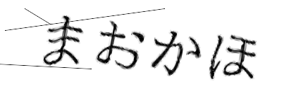 CAPTCHA画像