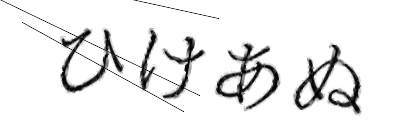 CAPTCHA画像
