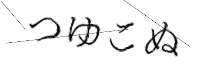 CAPTCHA画像