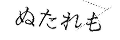 CAPTCHA画像