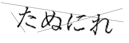 CAPTCHA画像