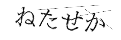 CAPTCHA画像
