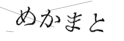 CAPTCHA画像