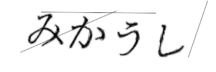 CAPTCHA画像