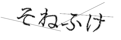 CAPTCHA画像