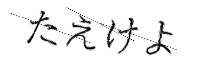 CAPTCHA画像