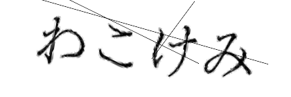 CAPTCHA画像