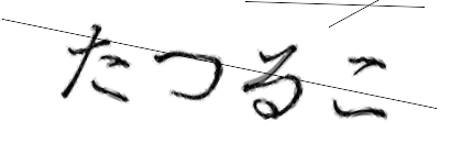 CAPTCHA画像