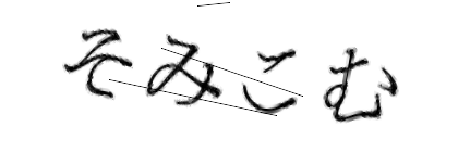 CAPTCHA画像