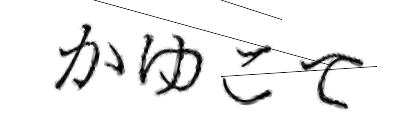 CAPTCHA画像