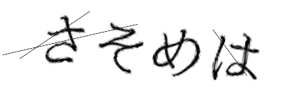 CAPTCHA画像