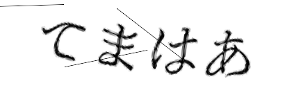 CAPTCHA画像