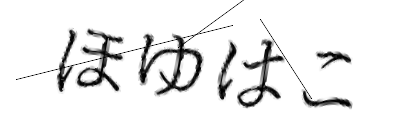 CAPTCHA画像