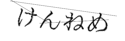 CAPTCHA画像