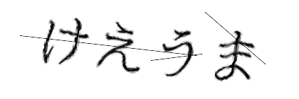 CAPTCHA画像