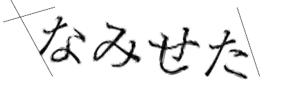 CAPTCHA画像