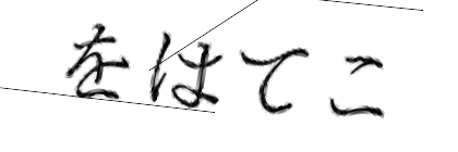 CAPTCHA画像