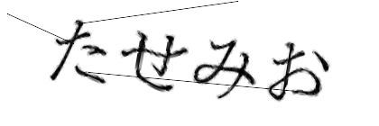 CAPTCHA画像