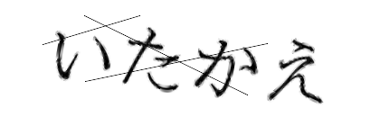CAPTCHA画像