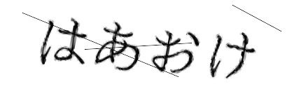 CAPTCHA画像