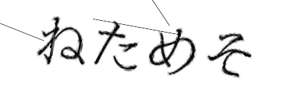 CAPTCHA画像