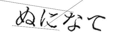 CAPTCHA画像