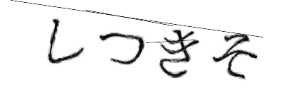 CAPTCHA画像