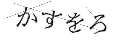 CAPTCHA画像