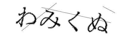 CAPTCHA画像