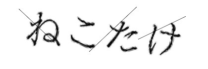 CAPTCHA画像