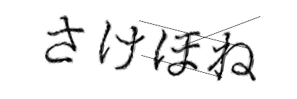 CAPTCHA画像