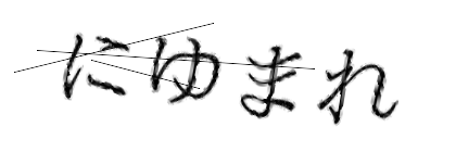 CAPTCHA画像