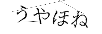 CAPTCHA画像