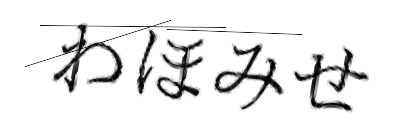 CAPTCHA画像