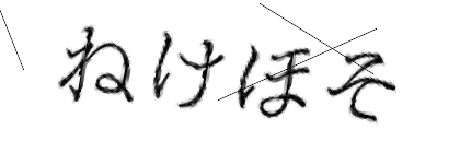 CAPTCHA画像