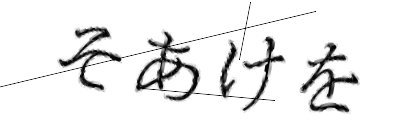 CAPTCHA画像
