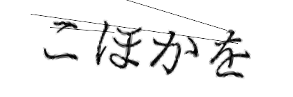 CAPTCHA画像