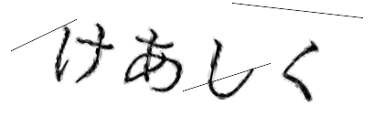 CAPTCHA画像