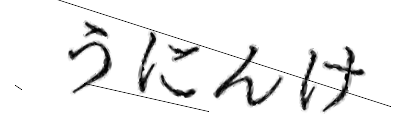 CAPTCHA画像